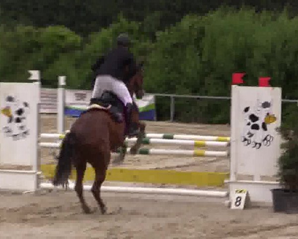 Sommerturnier Fröndenberg 2015