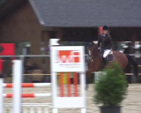 Sommerturnier Fröndenberg 2015