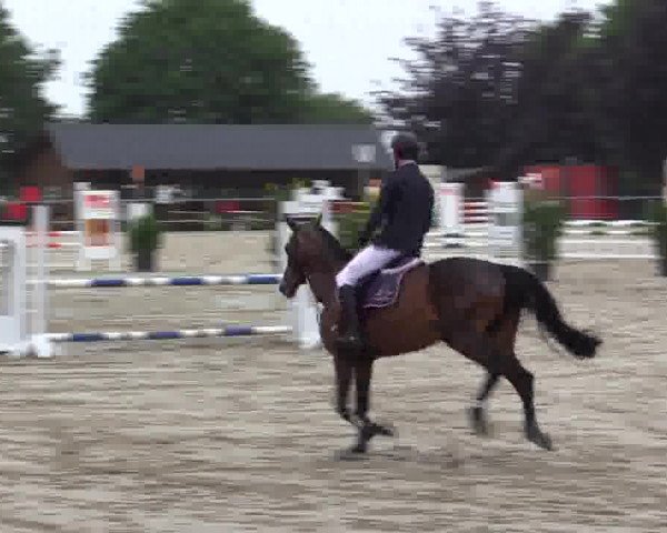 Sommerturnier Fröndenberg 2015