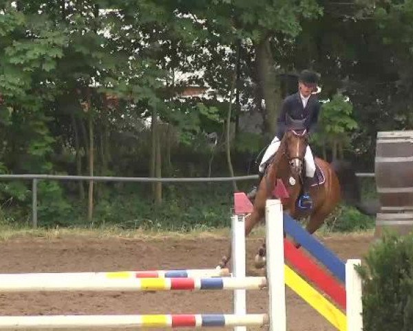 Reitturnier Wiesloch 2015