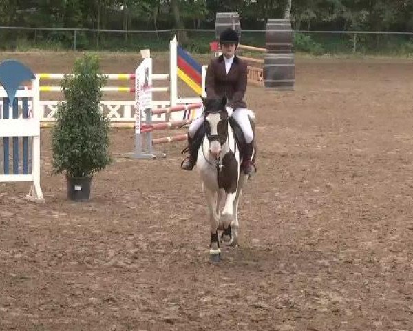 Reitturnier Wiesloch 2015