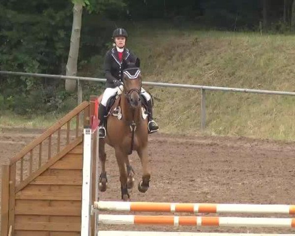 Reitturnier Wiesloch 2015