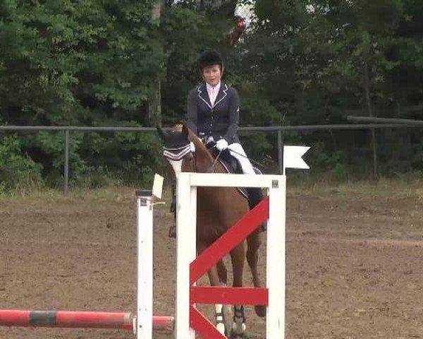 Reitturnier Wiesloch 2015