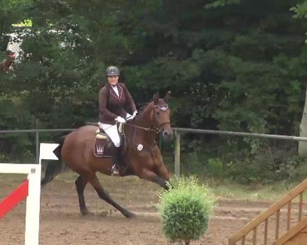 Reitturnier Wiesloch 2015