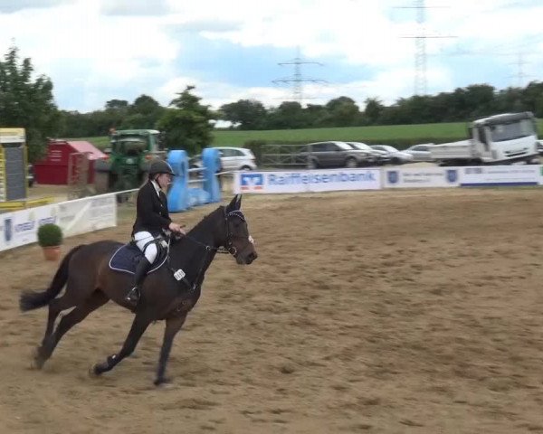 Sommerturnier RFV Heinsberg 2015
