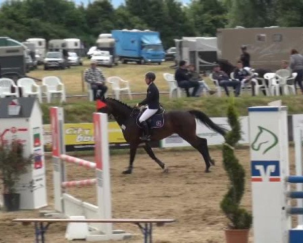 Sommerturnier RFV Heinsberg 2015