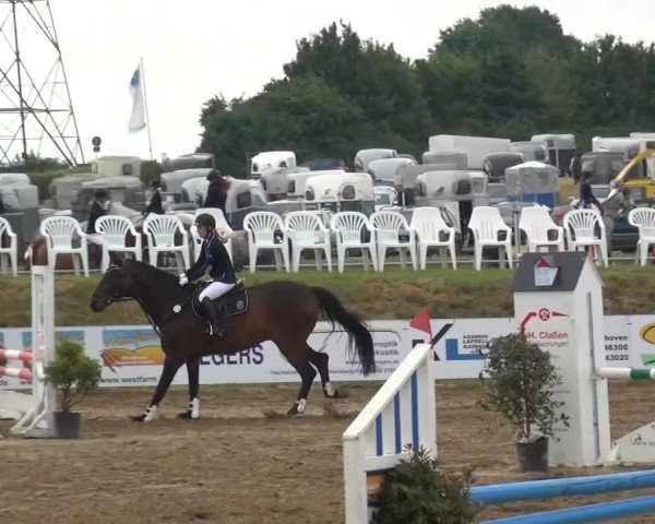 Sommerturnier RFV Heinsberg 2015