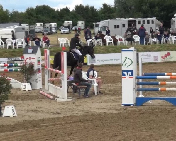 Sommerturnier RFV Heinsberg 2015