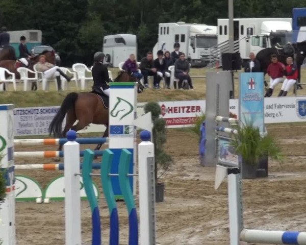 Sommerturnier RFV Heinsberg 2015