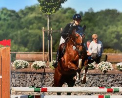 jumper First Class CS (KWPN (Royal Dutch Sporthorse), 2010, from Uphill)