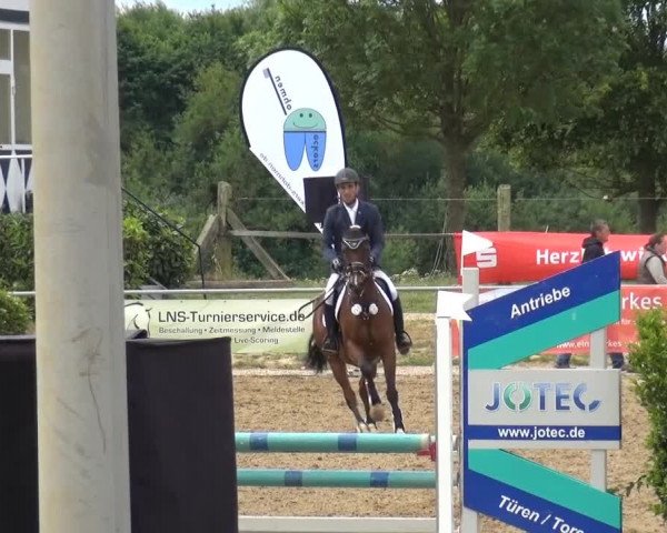 Sommerturnier RFV Heinsberg 2015