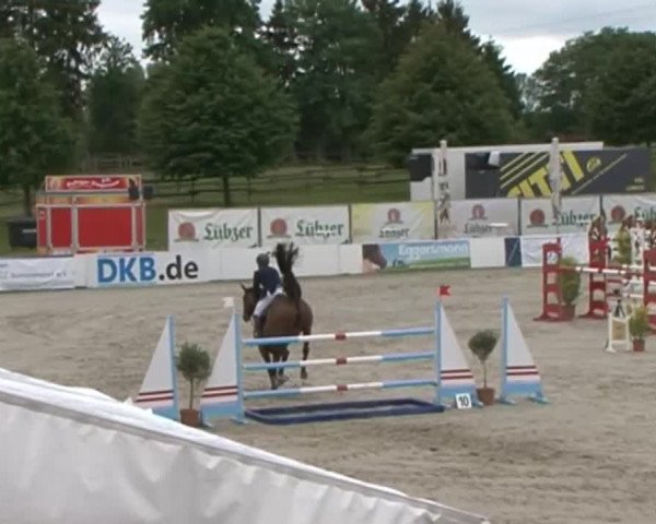FEI Reitturnier Sommerstorf (GER) 2015