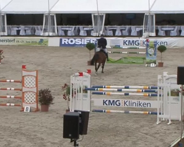 FEI Reitturnier Sommerstorf (GER) 2015