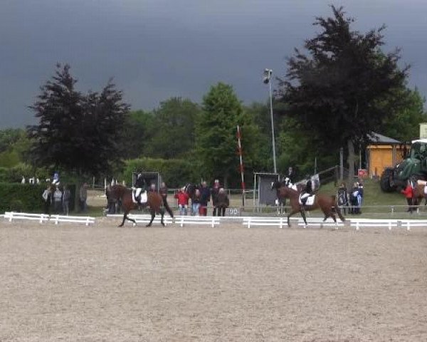 Sommerturnier Fröndenberg 2015