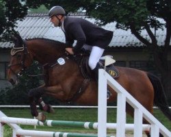 broodmare Chayenne 347 (Mecklenburg, 2010, from Clarin 6)