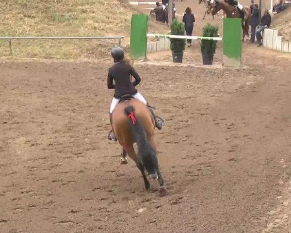 Reitturnier Wiesloch 2015