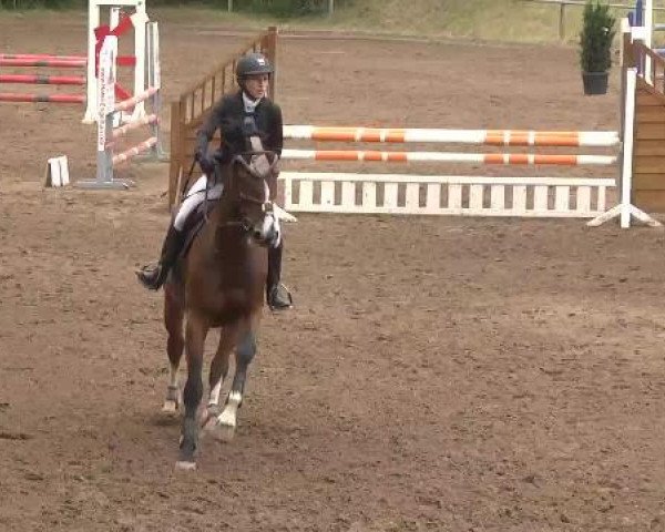 Reitturnier Wiesloch 2015