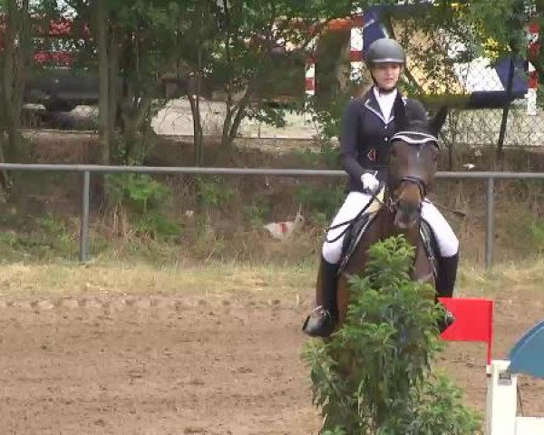 Reitturnier Wiesloch 2015