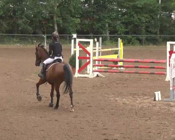 Reitturnier Wiesloch 2015