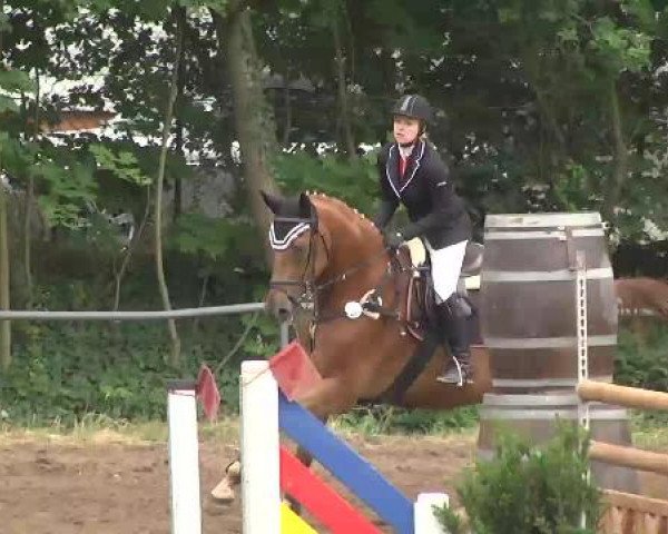 Reitturnier Wiesloch 2015