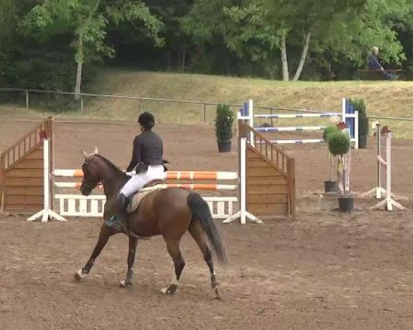 Reitturnier Wiesloch 2015