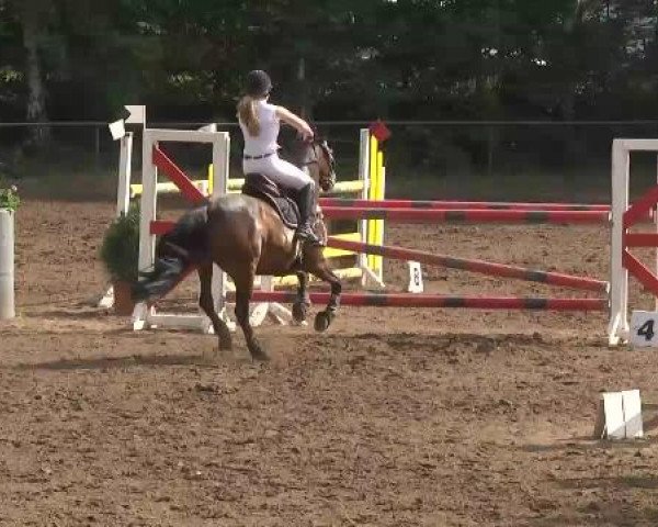 Reitturnier Wiesloch 2015