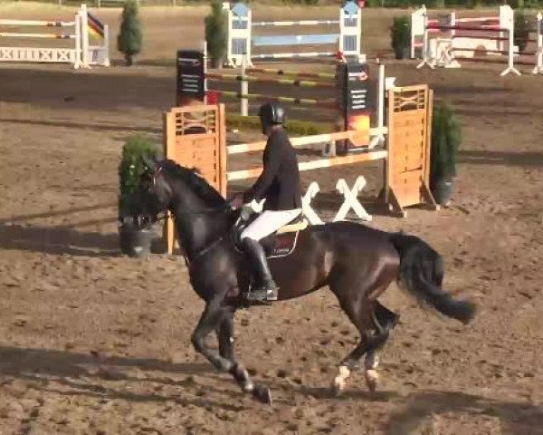 Reitturnier Wiesloch 2015