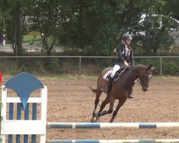 Reitturnier Wiesloch 2015