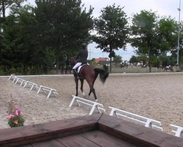 Sommerturnier Fröndenberg 2015
