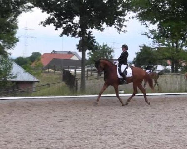 Sommerturnier Fröndenberg 2015