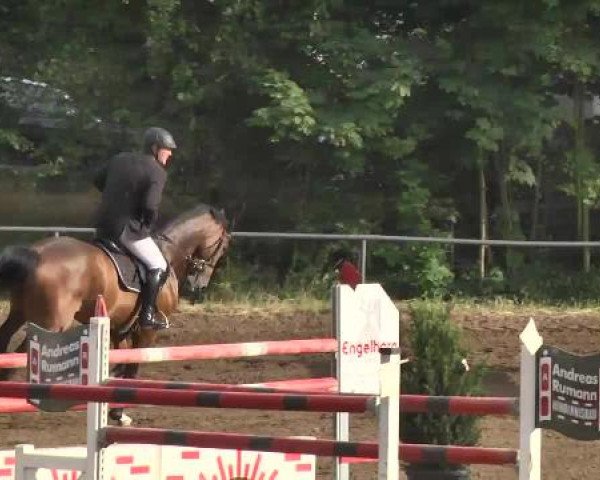 Reitturnier Wiesloch 2015