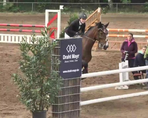 Reitturnier Wiesloch 2015