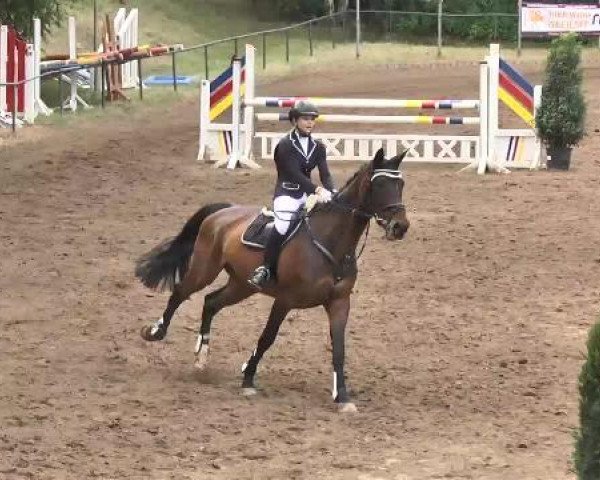 Reitturnier Wiesloch 2015