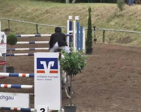 Reitturnier Wiesloch 2015