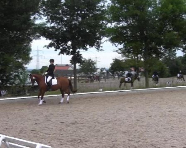 Sommerturnier Fröndenberg 2015