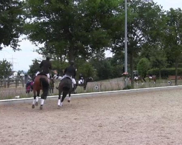 Sommerturnier Fröndenberg 2015