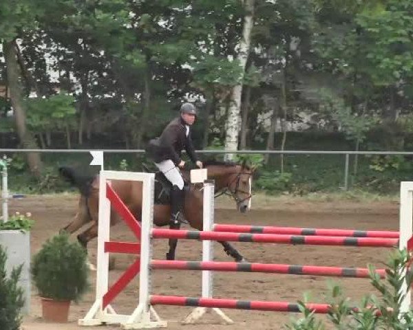 Reitturnier Wiesloch 2015