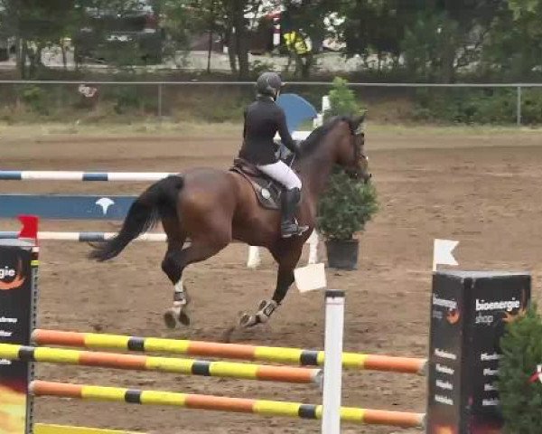 Reitturnier Wiesloch 2015