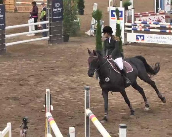 Reitturnier Wiesloch 2015
