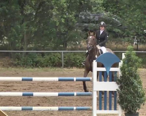 Reitturnier Wiesloch 2015