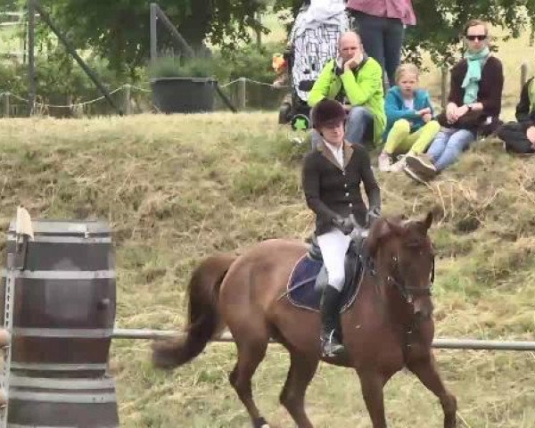 Reitturnier Wiesloch 2015