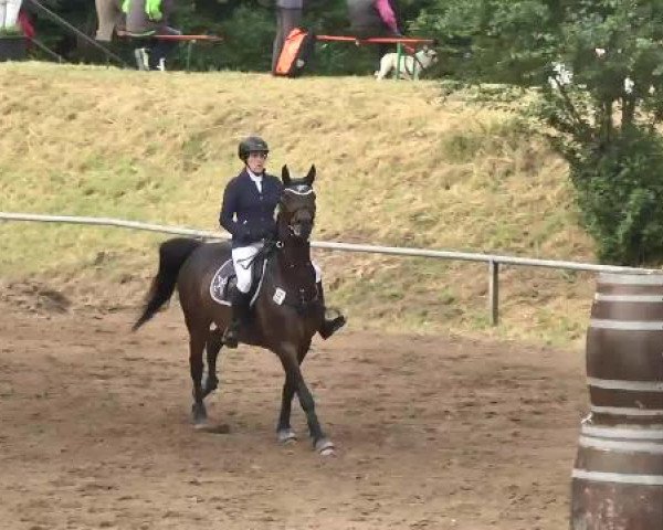 Reitturnier Wiesloch 2015
