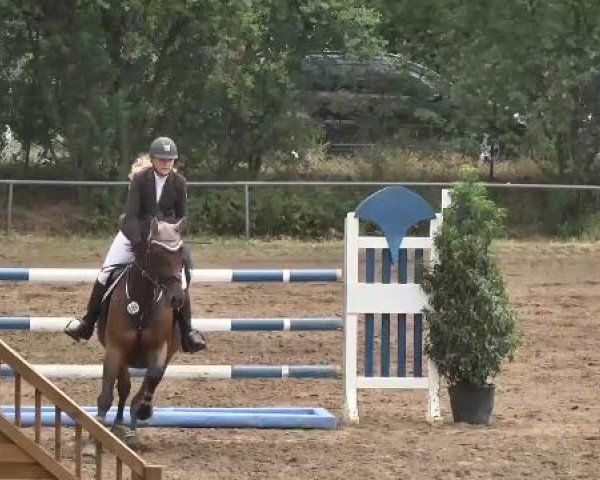 Reitturnier Wiesloch 2015