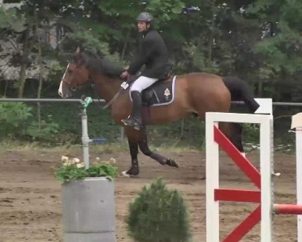 Reitturnier Wiesloch 2015
