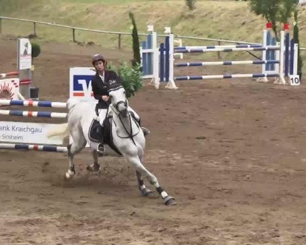 Reitturnier Wiesloch 2015
