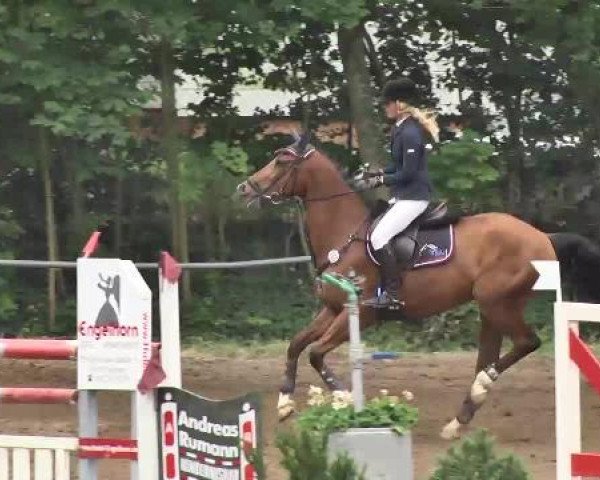 Reitturnier Wiesloch 2015