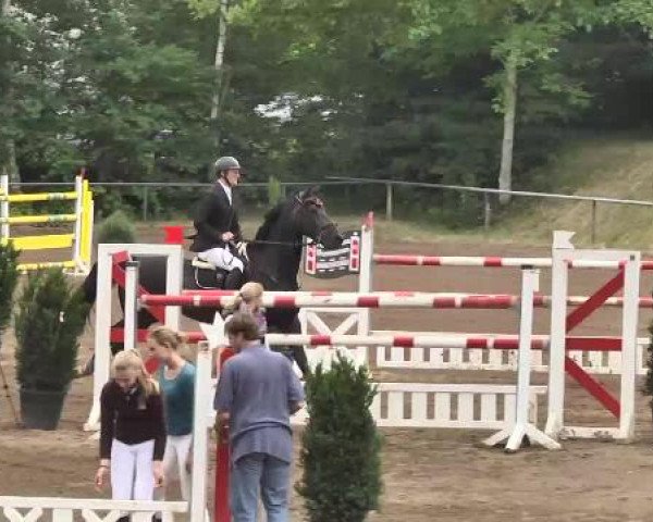 Reitturnier Wiesloch 2015