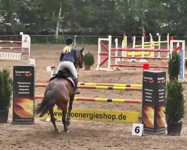 Reitturnier Wiesloch 2015