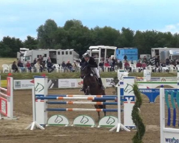 Sommerturnier RFV Heinsberg 2015