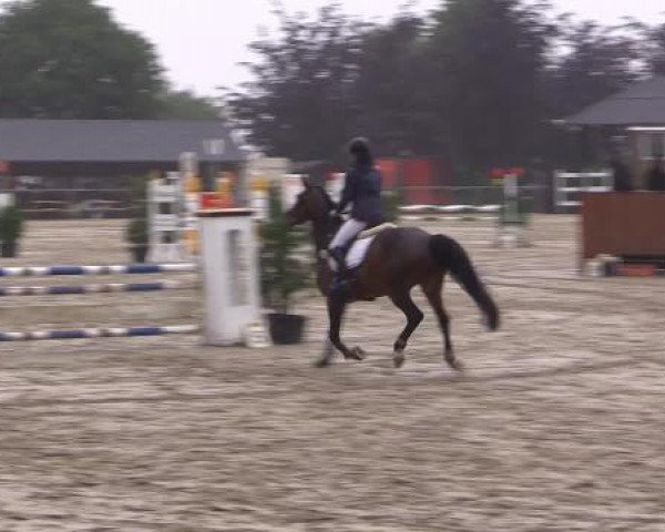 Sommerturnier Fröndenberg 2015